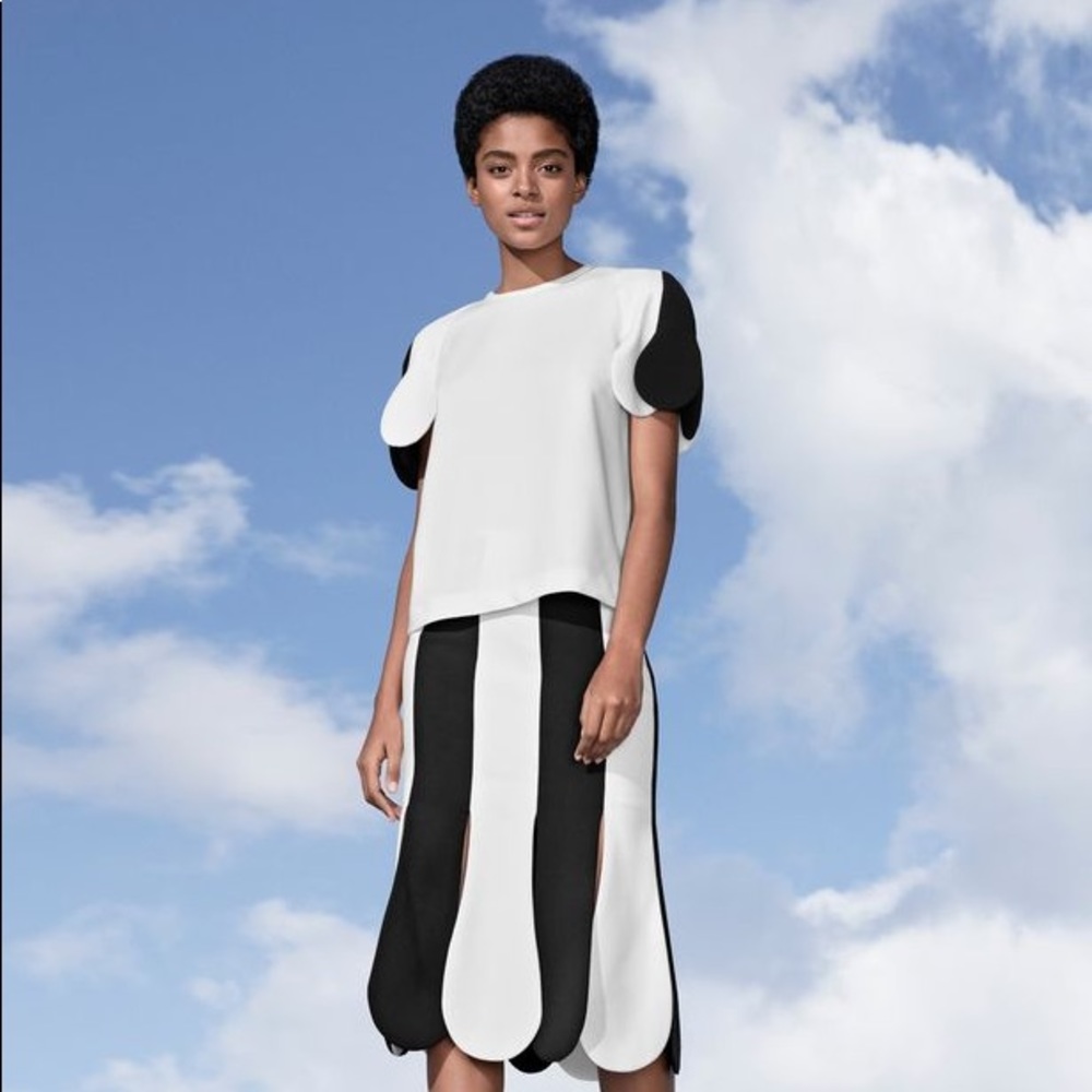 COPY - BRAND NEW Target x Victoria Beckham Skirt